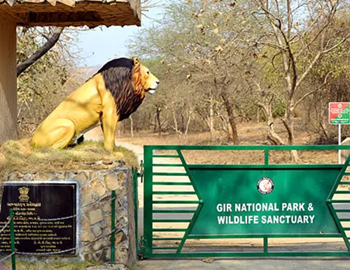 Sasan Gir