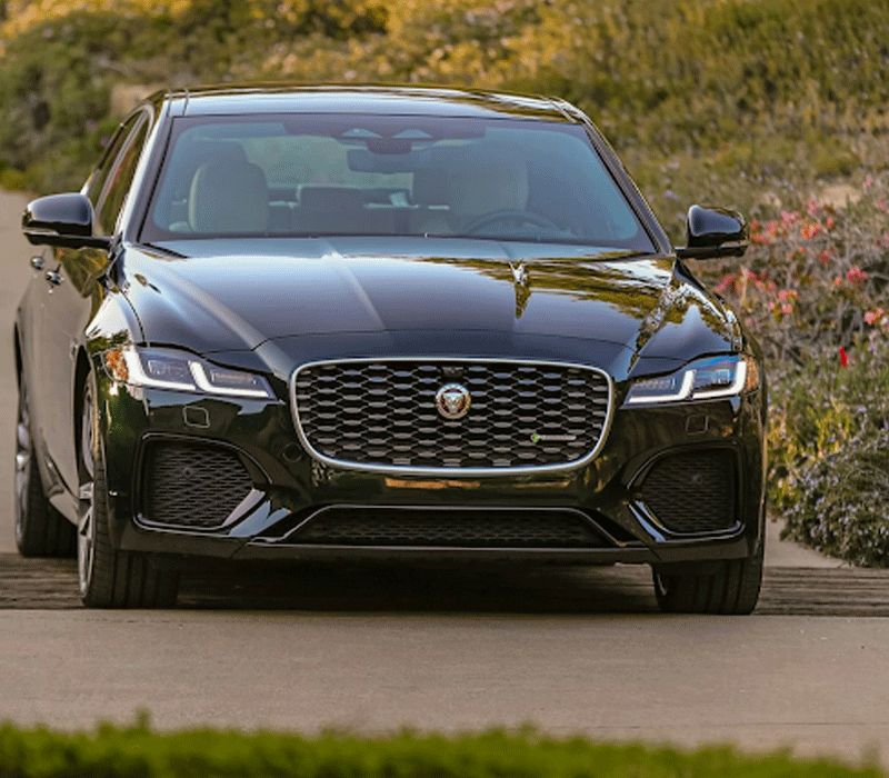 Jaguar